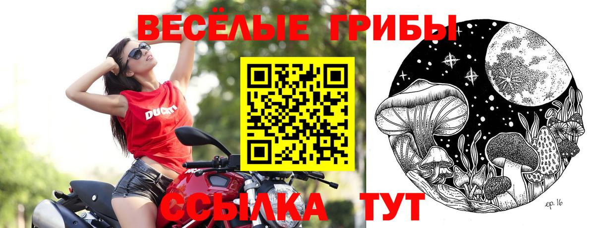 Меф МЯУ МЯУ  Амфетамин   Метамфетамин  Каннабис  Вход с VPN  КОКАИН  МЕФ кристаллы  Мелеуз  Альфа ПВП СОЛЬ кристаллы  Сколько стоит  ГАШ 