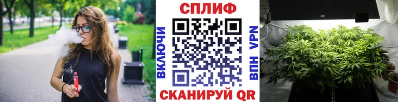 ссылка на мегу ссылки  купить наркотики цена  Мелеуз  Конопля сатива 